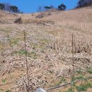 덕산면049 이미지