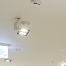 윈느성형외과의원 이미지