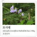 사삼유통