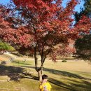 자운농장 | [경기도 아이랑 가볼만한곳] 단풍이 너무 이쁜 율곡선생 유적지 자운서원