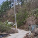 개곡리농장 | 안동 남후면 개곡리 숨은 유채꽃밭 사진 촬영 다녀온 후기 (4.11)