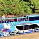 인천시 티 투어 2층버스 8개 노선중 바다 노선 먼저 이미지