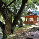 문화마을길-1 이미지