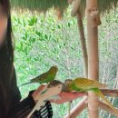 거열빌라 가는도로 | 3번째 보홀 여행 후기(1일차 : 노스젠 빌라 후기/툭툭기사 추천)