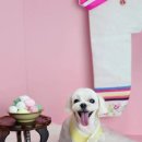 바우미우동물병원 이미지