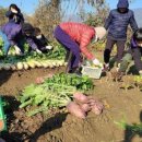 솔이농장 이미지