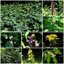 오지1리 마을회관 앞 이미지