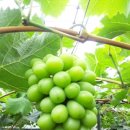 (주)에코아이엠 이미지