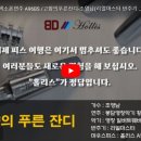 푸른잔디 이미지