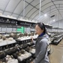 노루농장 이미지