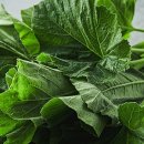 호박마켓 이미지