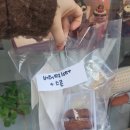 버터그램 | 용인 수지 버터떡 후기(사롱메이드, 버터그램)