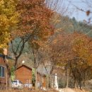 굿모닝펜션 이미지