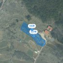 보물섬부동산사무소 이미지