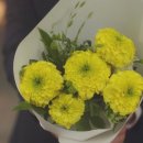 은은플라워 네이버블로그