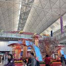 윤진식당 | 홍콩여행 1일차 소호거리 미드레벨 피크트램 몽콕야시장 금붕어시장 후기