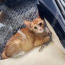 조재진동물병원 이미지