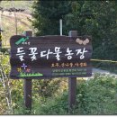 박선주농장 이미지