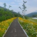 계룡산골프장 이미지