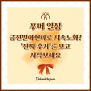 발아 | [푸머일상] 금진발아현미로 저속노화! '진짜 후기'를 보고 시작보세요