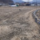 노은면사무소 이미지