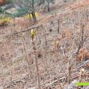 고실농장 이미지