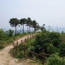 산동목장 티스토리