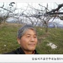 임실치즈골 은주네농장 이미지