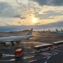 국적항공사 국내선 정시성 ‘A’, 국제선은 하락세… 안전성은 전반적 감소세 이미지