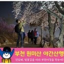 소담공원 농구장 네이버블로그