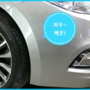현대덴트칼라 - 수원시 장안구 일월로 72 | 현대덴트칼라