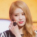 미주꽃