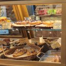 카페모던 | 화성대형카페 애견동반 가능한 크리스마스 분위기 CMC 카페모던코드 내돈내산 후기