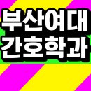 부산여자대학교 | 올해 지원할 부산여자대학교 간호학과 준비