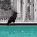 보감고시원 | 신림동고시원 보감고시텔 신림동 보감고시텔 추천