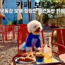 부산소프트웨어마이스터고 | 부산 강아지랑 갈 카페 찾았다... 낙동강 보며 힐링한 강서 대형카페 카페 보다