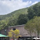 사전7-2 안길 | 아이랑 여행, 충주 활옥동굴 투명카약과 청풍호반케이블카, 카페탄지리, 충주제천 1박2일 여행코스