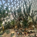 거제식물원 이미지