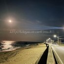 봉산민박 이미지