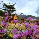 봉이하우스 이미지