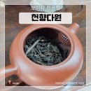 천향 | 보이차 실패 후 정착한 곳 부산 천향 다원 후기 (feat.내돈내산 보이차)