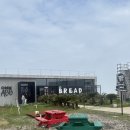 카페카벨 | [제주동쪽카페] 코난해변 오션뷰 '아베베 베이커리 비킬라' 메뉴, 내돈내산 (재방문의사 X)