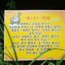 대왕삼계탕 - 경주시 입실로3길 30-1 | 대왕삼계탕
