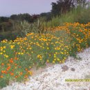 햇살마루목장 이미지