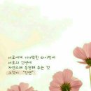 다온심리상담센터