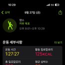 모모폴스튜디오