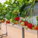 해늘농장 이미지