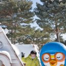 회원동130 | [아이와여행]비발디파크 스노위랜드 입장권 구매 팁&amp;방문 후기 꿀팁 정리!