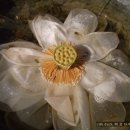 대건중학교 이미지