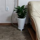 한국다문화행정사사무소 이미지